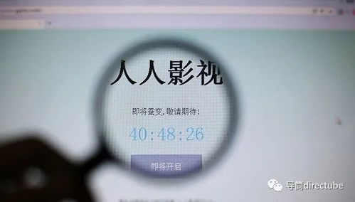告別豬豬字幕組 整改、刪除與關閉背后的行業變革