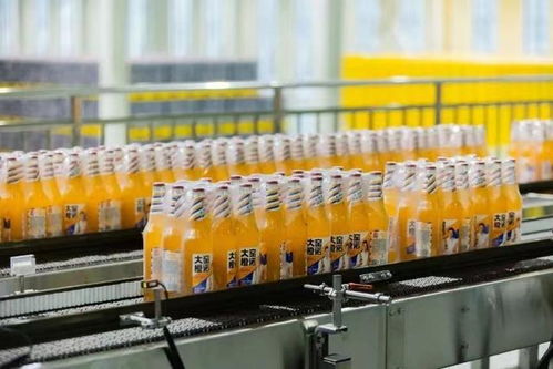 供應鏈支撐,大窯飲品劍指全國市場