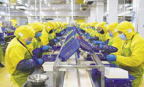 新風口新賽道上的拼搶和吶喊 我市預制菜企業(yè)發(fā)展一線觀察