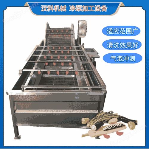 蕨菜加工翻浪式清洗機(jī)