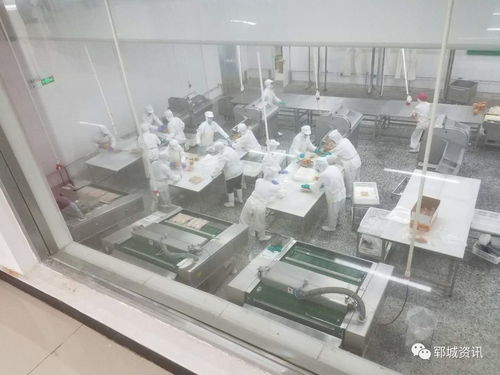 紅盾護企 食品生產科在行動，保障電熔鎂生產安全